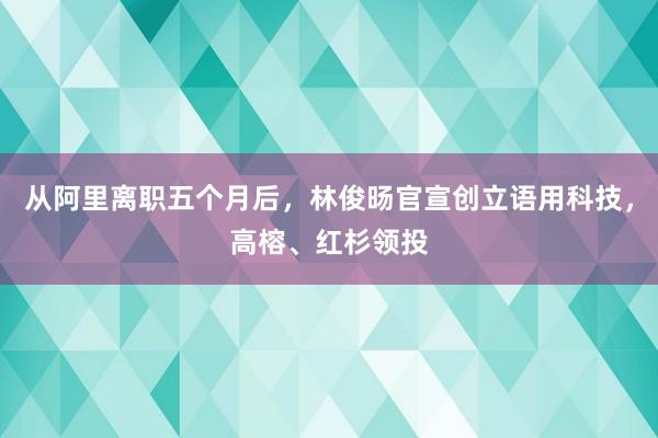 从阿里离职五个月后，林俊旸官宣创立语用科技，高榕、红杉领投