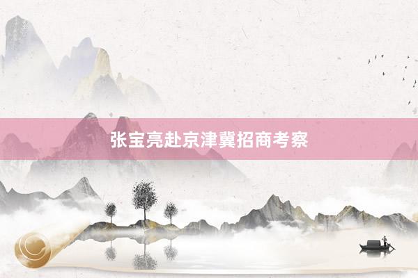 张宝亮赴京津冀招商考察