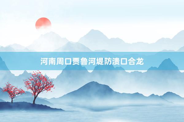 河南周口贾鲁河堤防溃口合龙